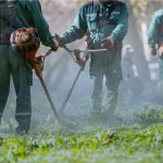Corso online light di formazione per manutentori del verde e spazzamento strade - I edizione