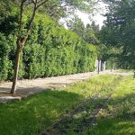 Presentazione interventi Spugna di Pieve Emanuele