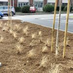 Workshop di co-progettazione per studenti IIS Leonardo da Vinci di Cologno Monzese