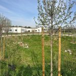 Workshop di co-progettazione per studenti IIS C. dell'Acqua di Legnano