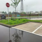 Passeggiata alla scoperta della Città Spugna!