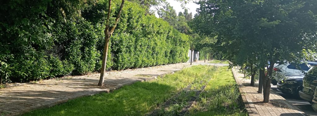 2025-06-04 Pieve Via dei Pini (Fronte scuola)_BASE